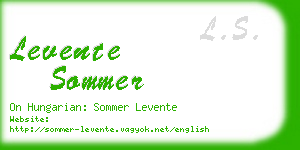 levente sommer business card